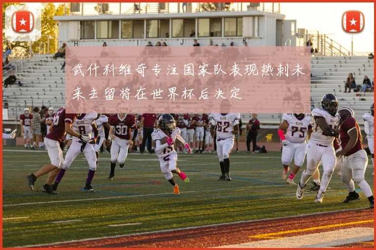 武什科维奇专注国家队表现热刺未来去留将在世界杯后决定