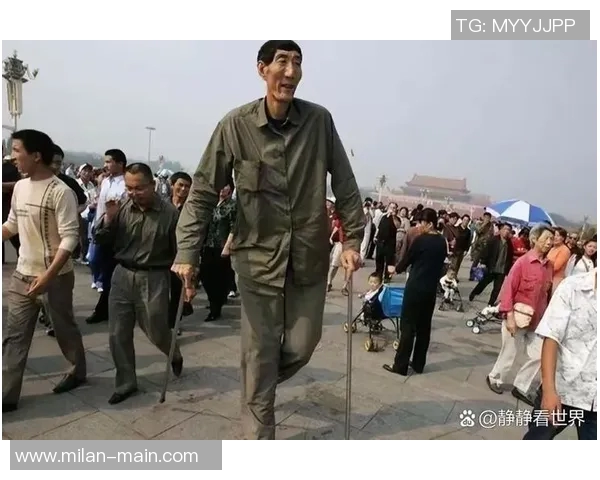 历史上身高2米26的巨人谁最强文班或成第一唯有姚明场均得分超十分